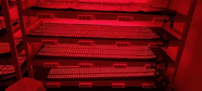 Shenzhen Mei Hui Optoelectronics Co., Ltd γραμμή παραγωγής του κατασκευαστή