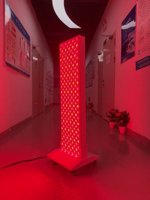 Αγορά High Power 2000W Red + Near Infrared Light Panel – OEM Factory with Pulse Mode & Brightness Control σε απευθείας σύνδεση κατασκευή