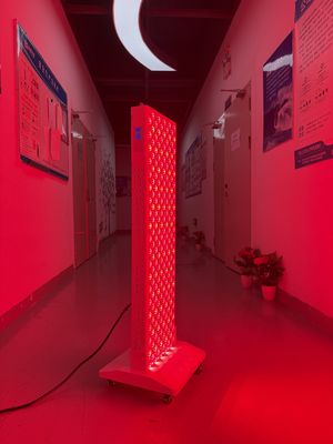 Αγορά OEM Factory Supply 2000W Red Light Therapy Panel – 630/660/810/830/850nm Wavelength Options σε απευθείας σύνδεση κατασκευή