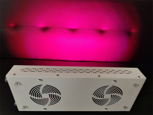 600w Φροντίδα Σώματος Συσκευή Θεραπείας Κόκκινου Φωτός Κόκκινο Νίρ Προσαρμογή φάσματος για τέλειο δέρμα