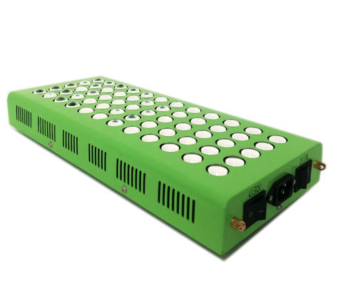 αντι θεραπεία υπέρυθρου φωτός γήρανσης 300w 660nm 850nm για τον πόνο γονάτων