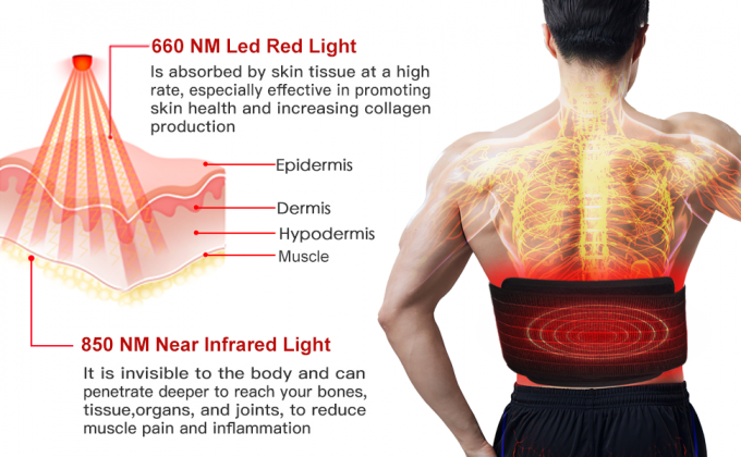 Ελαφριά ζώνη περικαλυμμάτων μαξιλαριών σώματος υπέρυθρου φωτός μηχανών θεραπείας των οδηγήσεων απώλειας 850nm βάρους 0