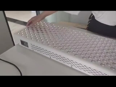 Πίνακας θεραπείας κόκκινου φωτός 600W