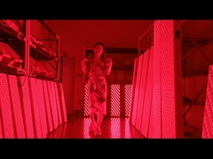 Δελτίο θεραπείας κόκκινου φωτός 3000w