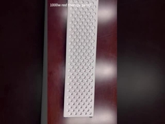 1000W επιτροπή θεραπείας κόκκινου φωτός