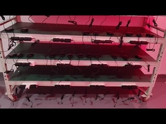 Μειωτικό βάρος αντιγήρανση Laser Lipo 660nm 850nm Κόκκινο φως θεραπεία ζώνη