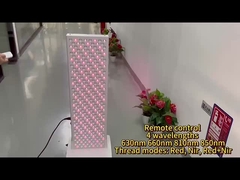 1500W Ερυθρό Φως Επεξεργαστικό Πίνακα 660 850nm NIR Φωτοθεραπεία Συσκευή Με Στάδιο