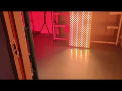 Ολόκληρο το σώμα 6000w υπέρυθρο LED Φως Θεραπεία Φως Μηχανή για το δέρμα