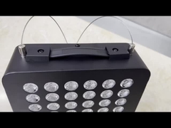 300W φορητό LED φωτεινή θεραπεία 630 660 810 850nm θεραπευτικό πάνελ